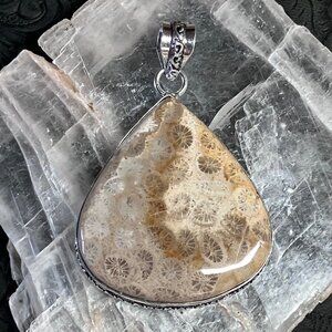 Agatized Fossil Coral Gemstone Stone Jewelry Crystal Pendant
